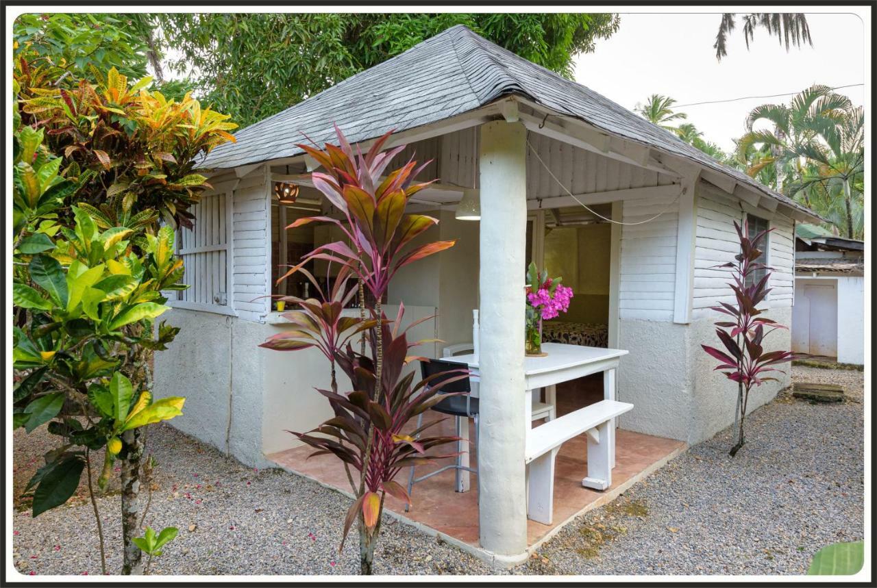 Résidence San Ferreol Las Terrenas Exterior foto